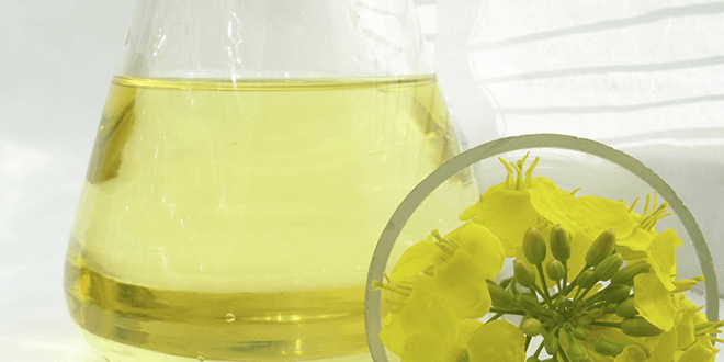 MECAGREEN : Huiles hydrosolubles, à base végétale